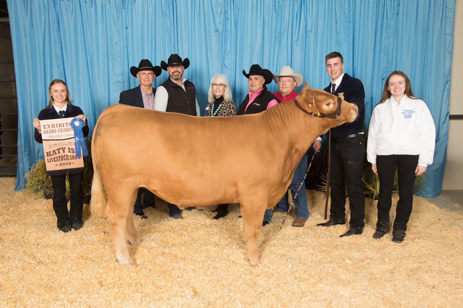 Cattle such as this, from the 2020 Katy ISD FFA Livestock Show, will be among the man attractions at this year’s show, which coincides with the Katy Rodeo.